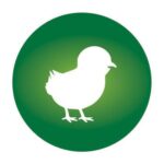 Bio-Futter für Geflügel